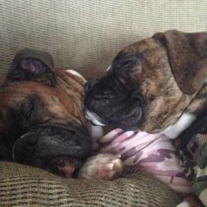 Meet your Posher, Vada